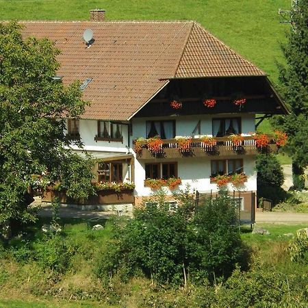 Schusselehof Apartment Oberprechtal ภายนอก รูปภาพ