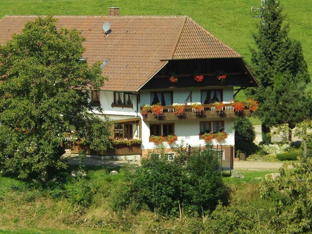 Schusselehof Apartment Oberprechtal ภายนอก รูปภาพ
